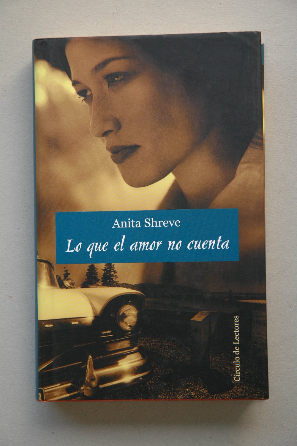 Lo que el amor no cuenta book