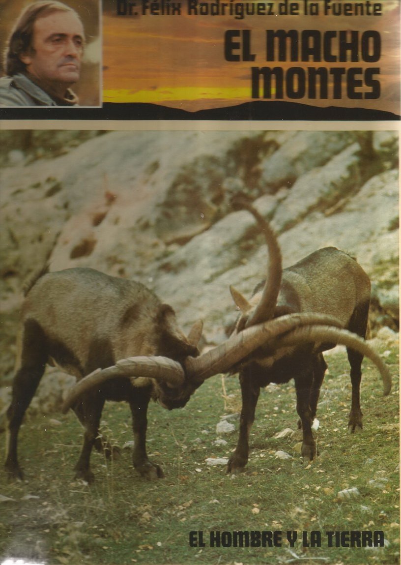 EL HOMBRE Y LA TIERRA: El macho Montés book