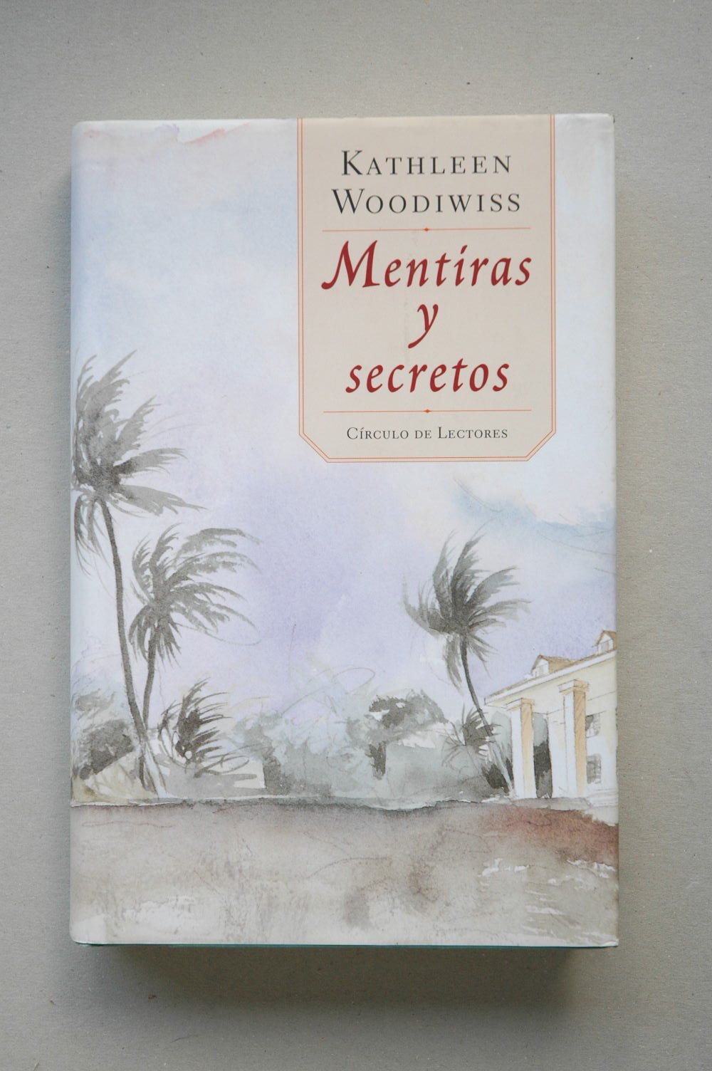 Mentiras y secretos book