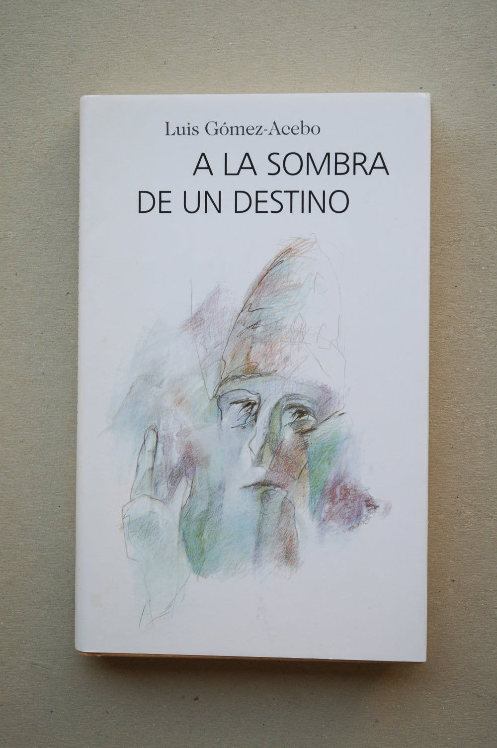 A la sombra de un destino book