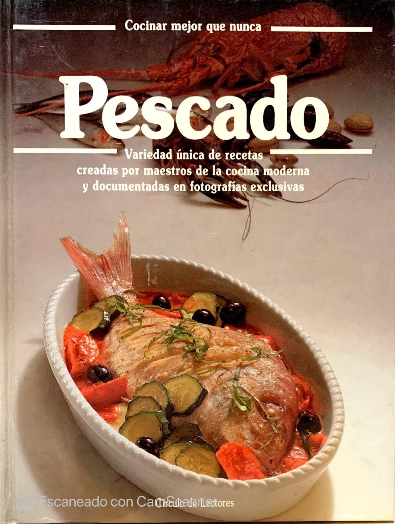 Pescado. Variedad única de recetas creadas por maestros de la cocina moderna y documentadas en fotog book