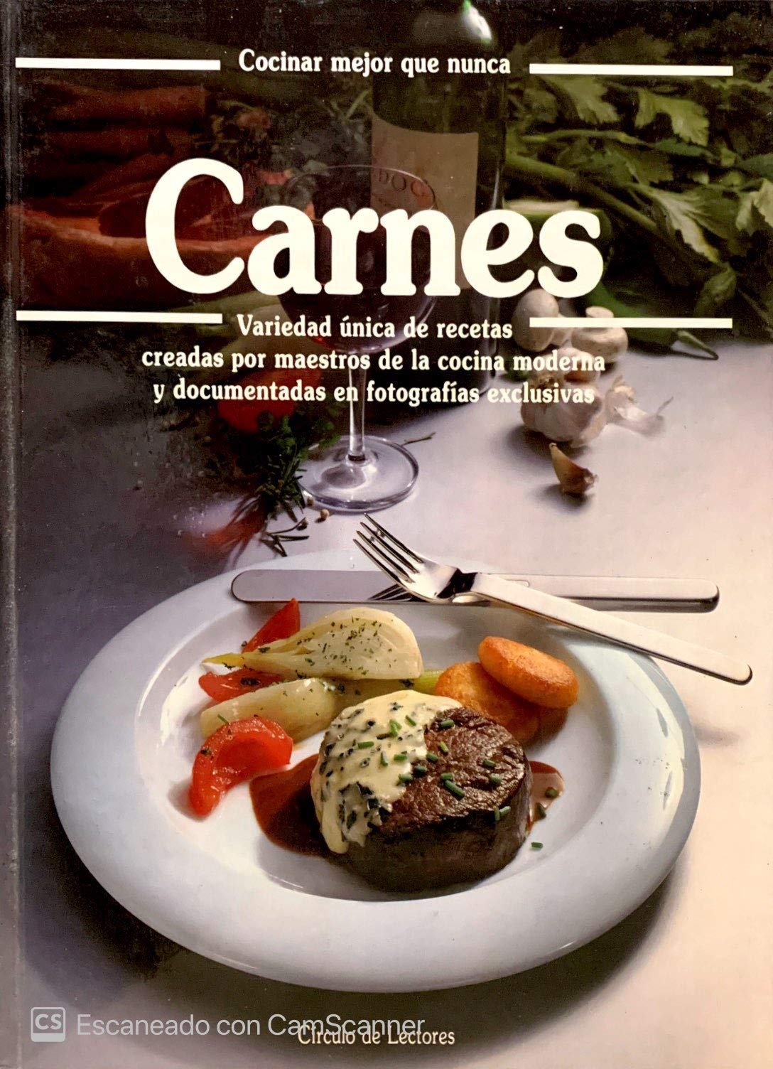 Carnes. Variedad ·nica de recetas creadas por maestros de la cocina moderna y documentadas en fotogr Books