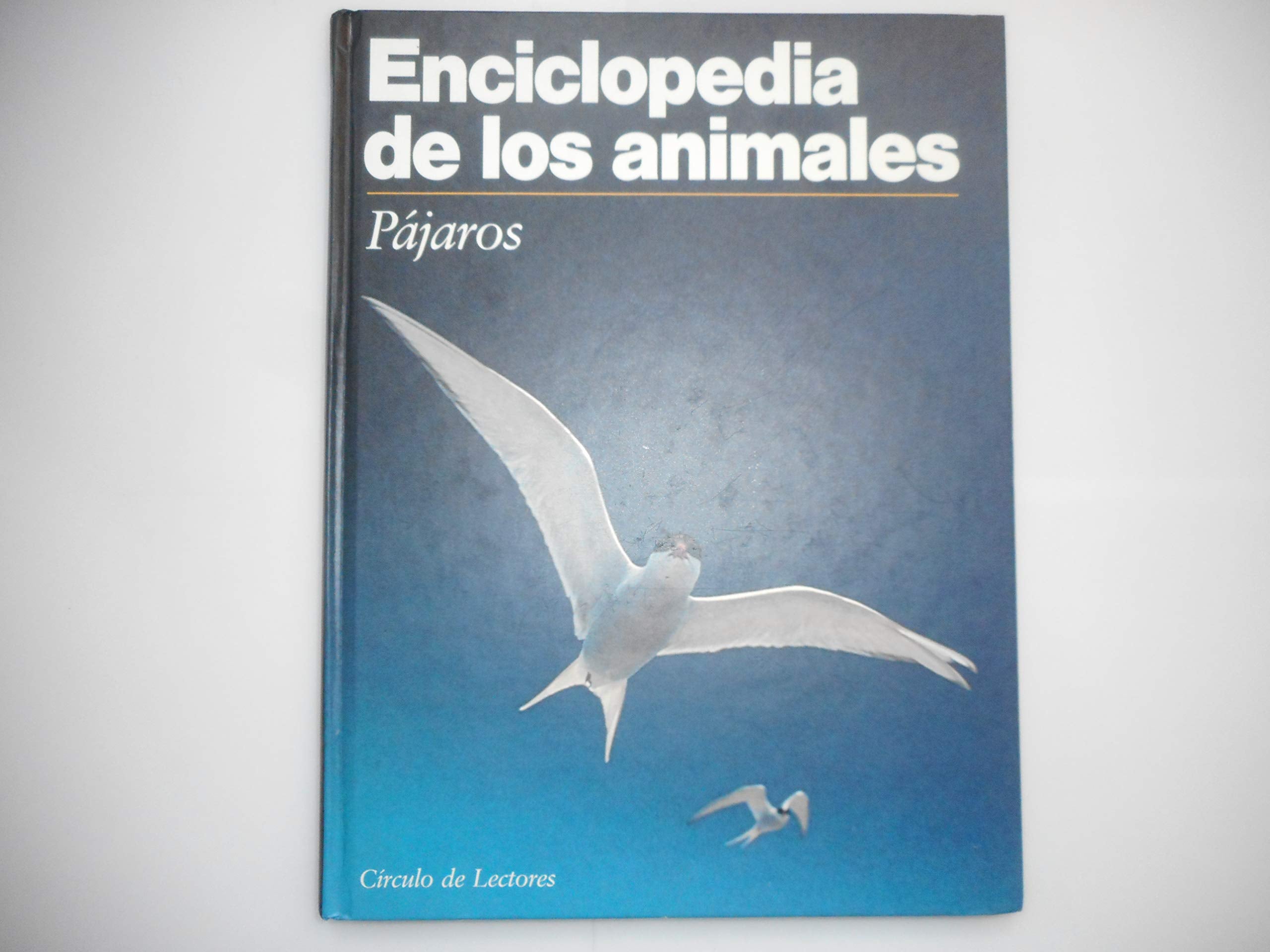 Enciclopedia de los Animales. Pájaros book