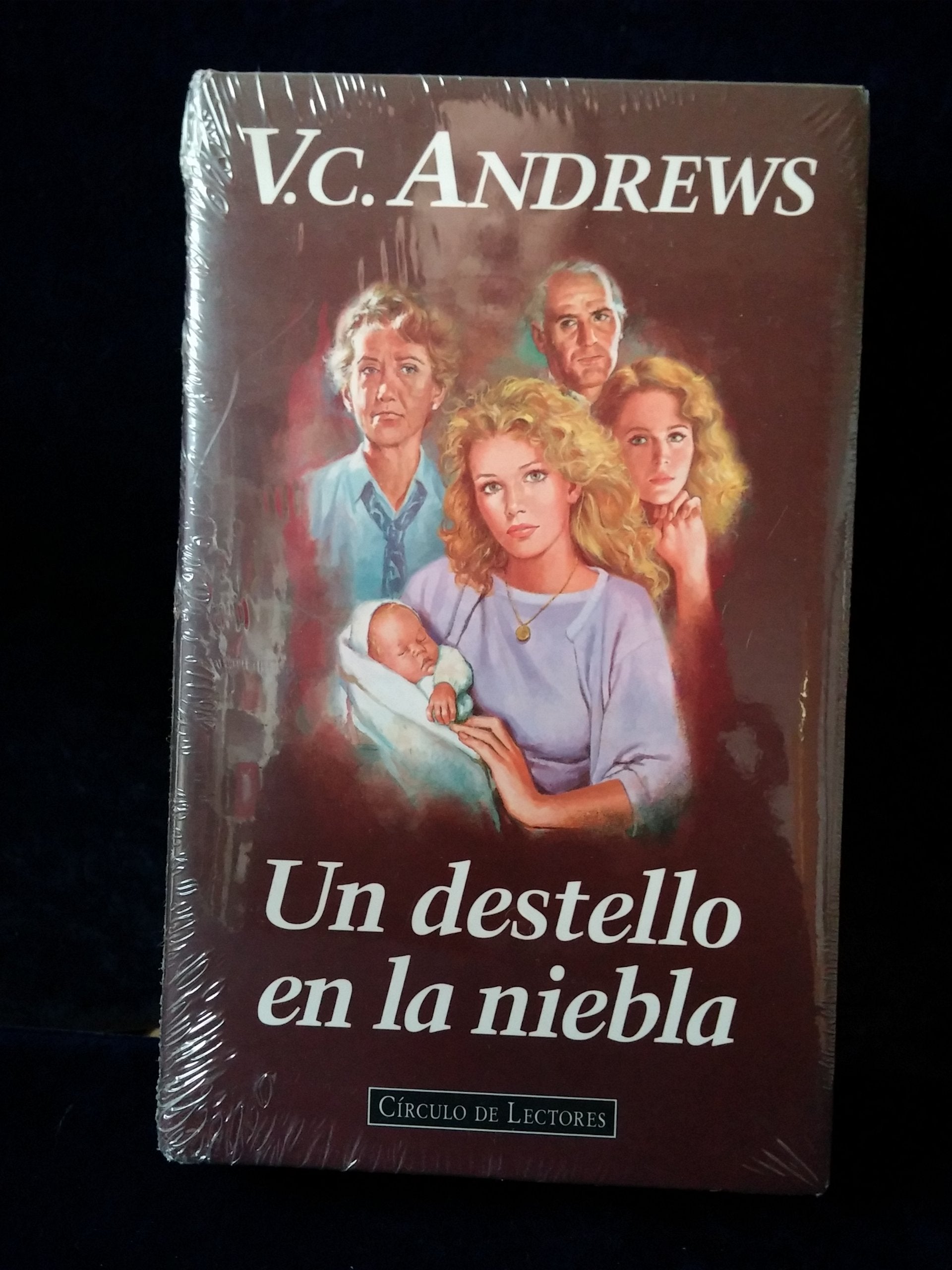Un destello en la niebla Books