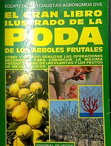 Locus solus. Vol. 7: Memoria e immagini. book