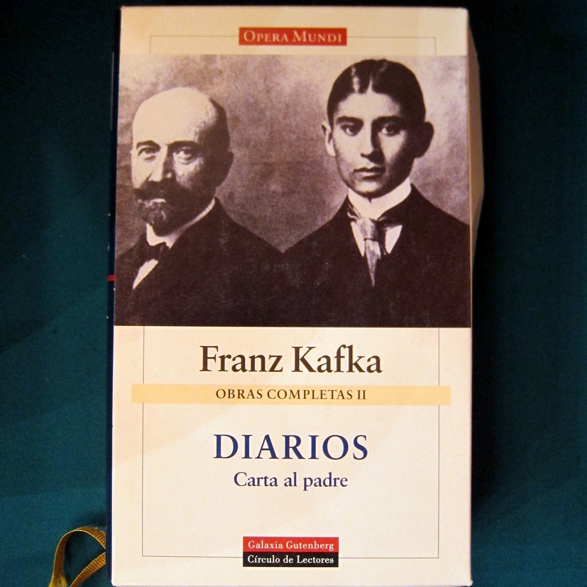 Diarios, carta al padre book