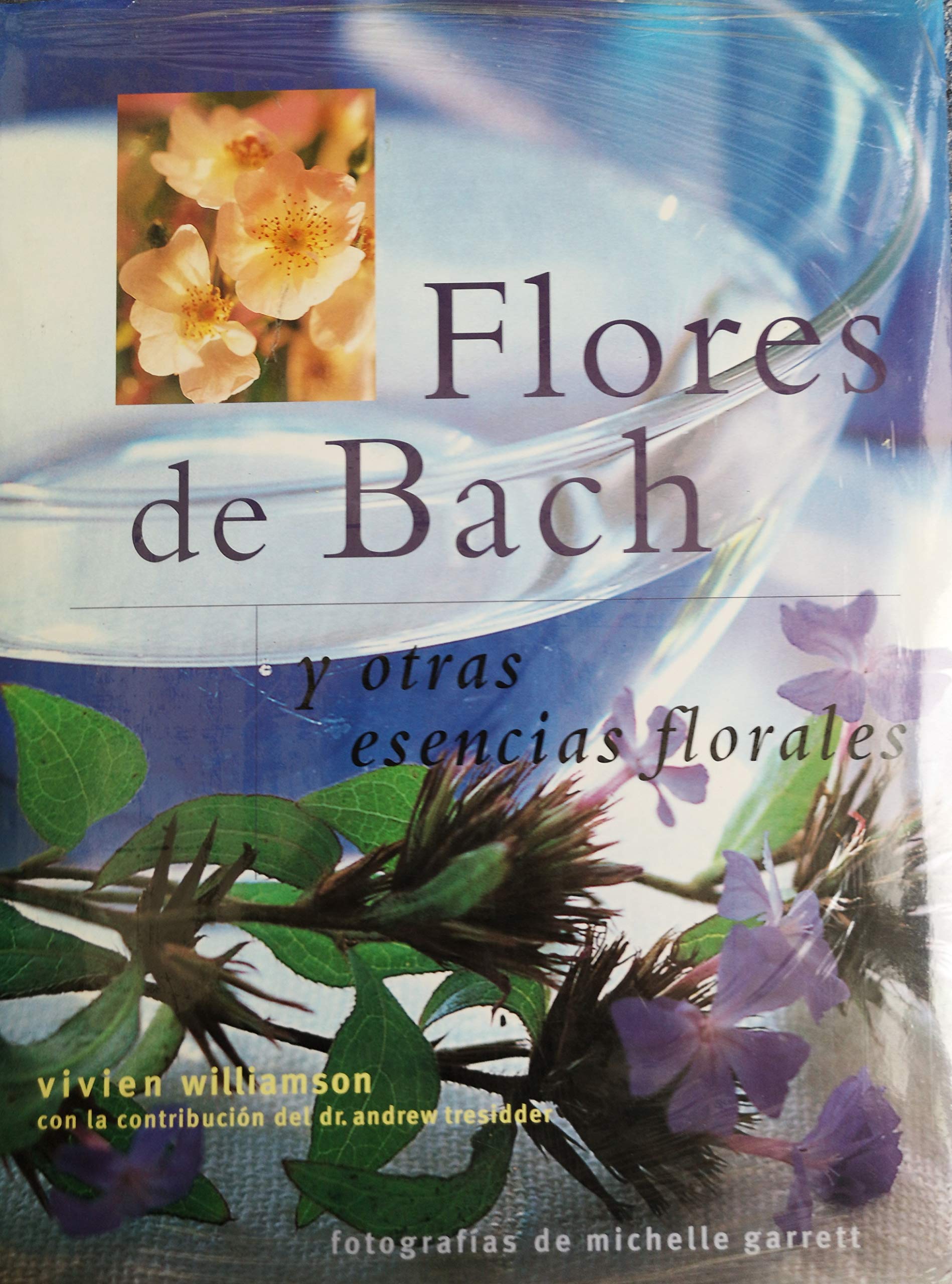 Locus solus. Vol. 7: Memoria e immagini. book