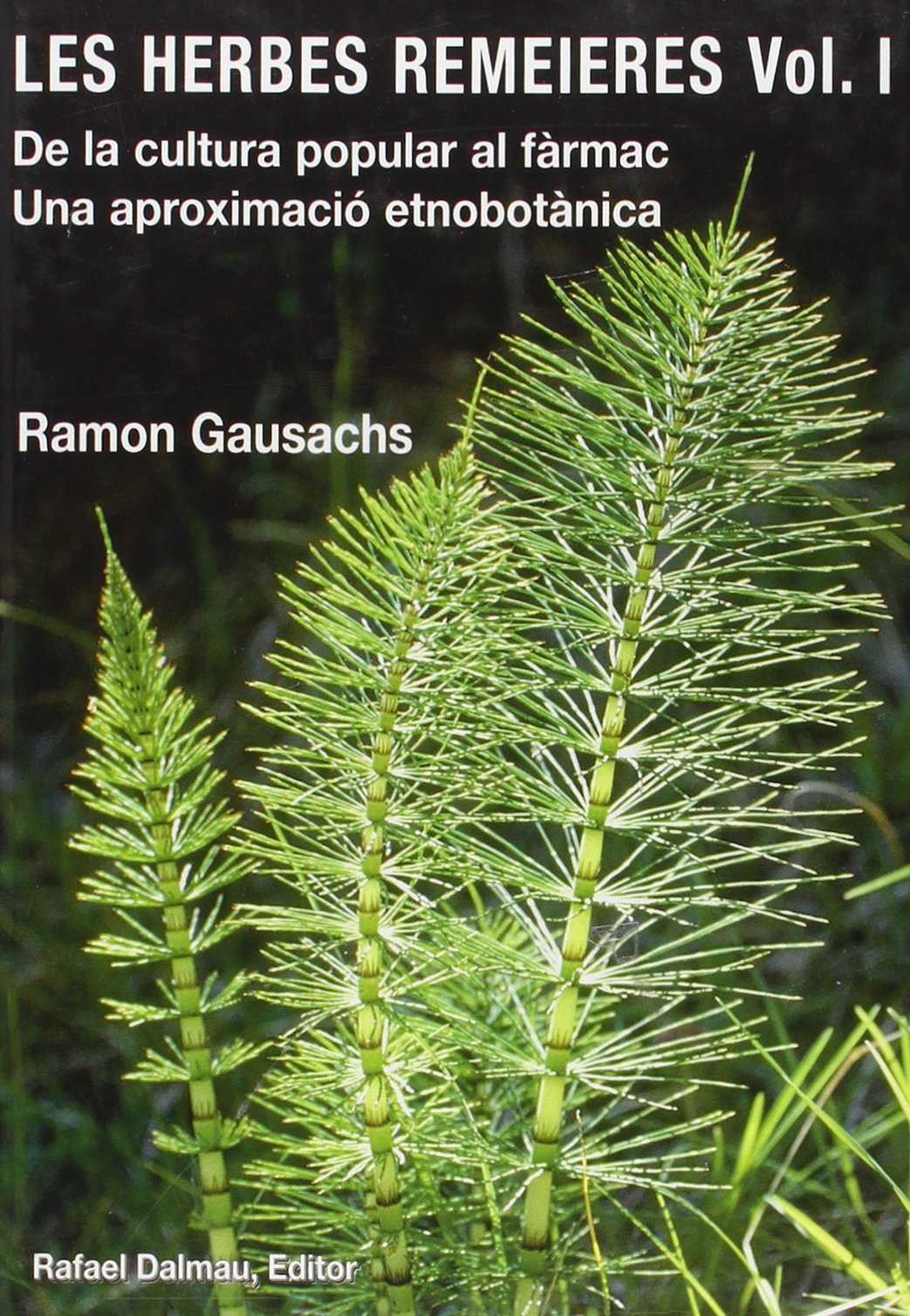 LES HERBES REMEIERES, VOL. I.: DE LA CULTURA POPULAR AL FÀRMAC. UNA APROXIMACIÓ ETNOBOTÀNICA book