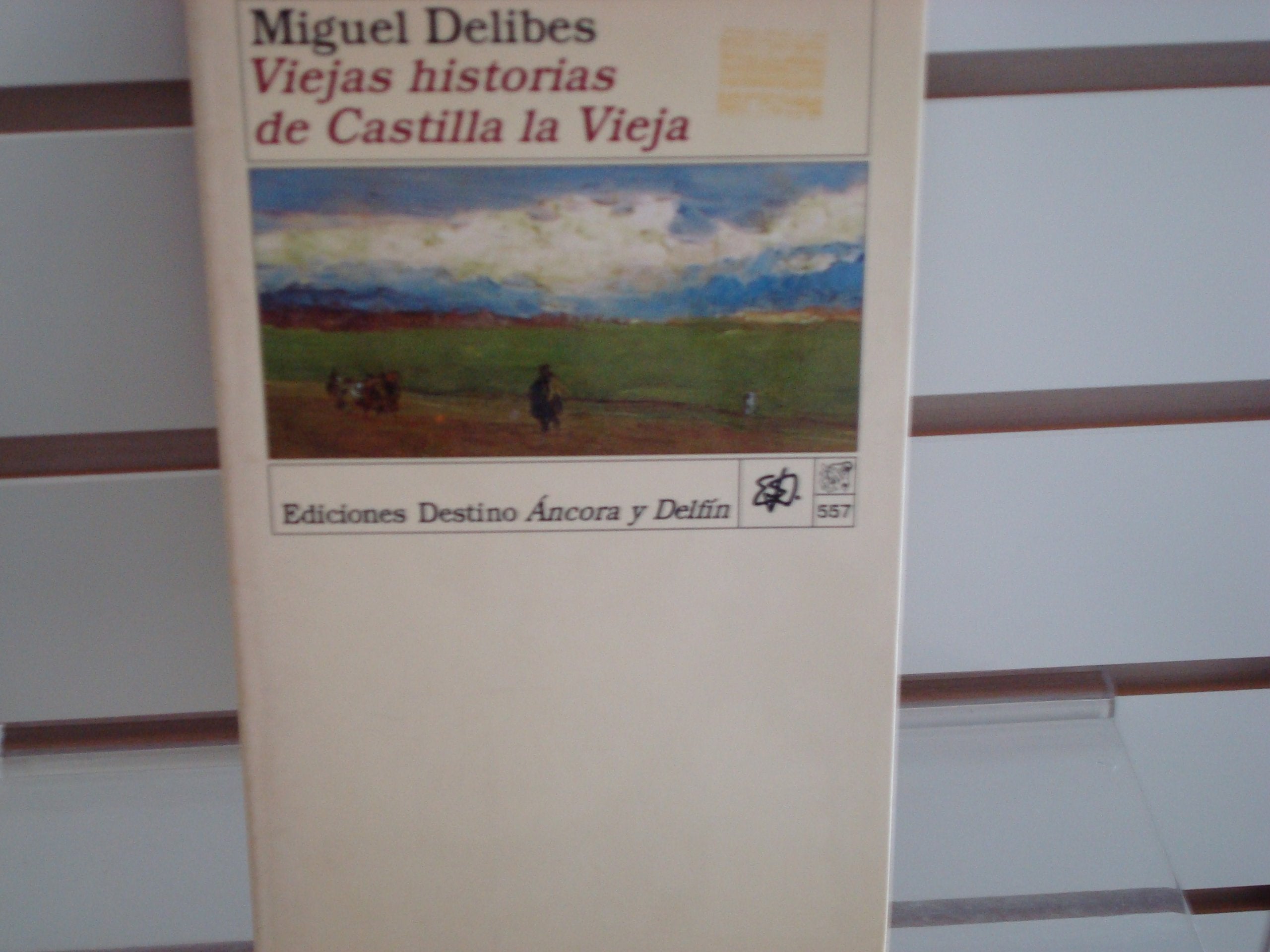 Viejas historias de Castilla la Vieja Books