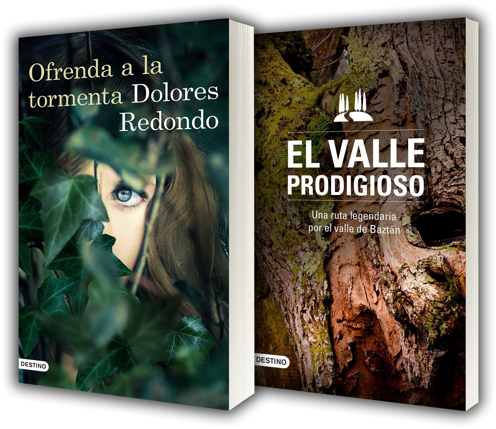 Ofrenda a la tormenta ; Guía de Baztán (Áncora & Delfín) Contemporary literature