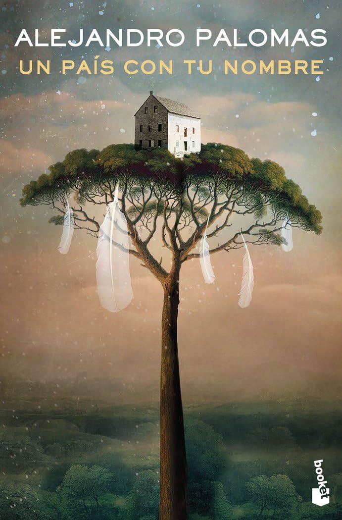 Un país con tu nombre (Novela) Contemporary literature