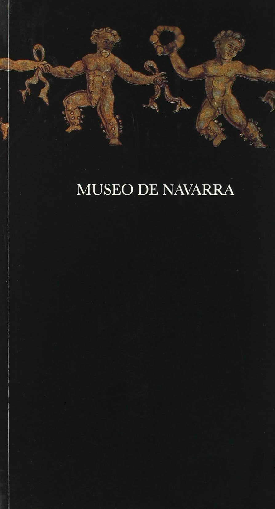 Museo de Navarra Social Sciences