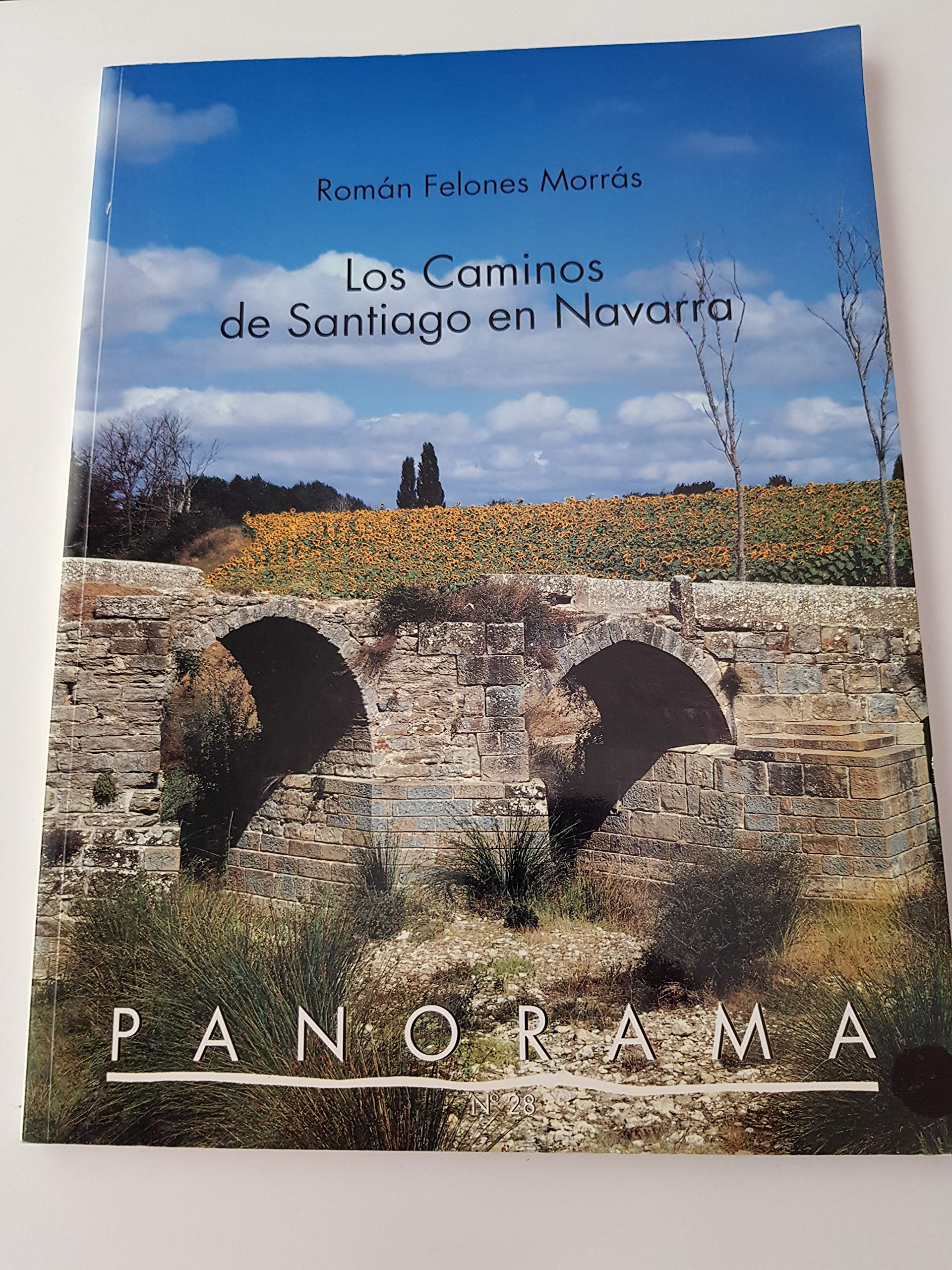 Panorama 28 - caminos de Santiago en Navarra, los Books
