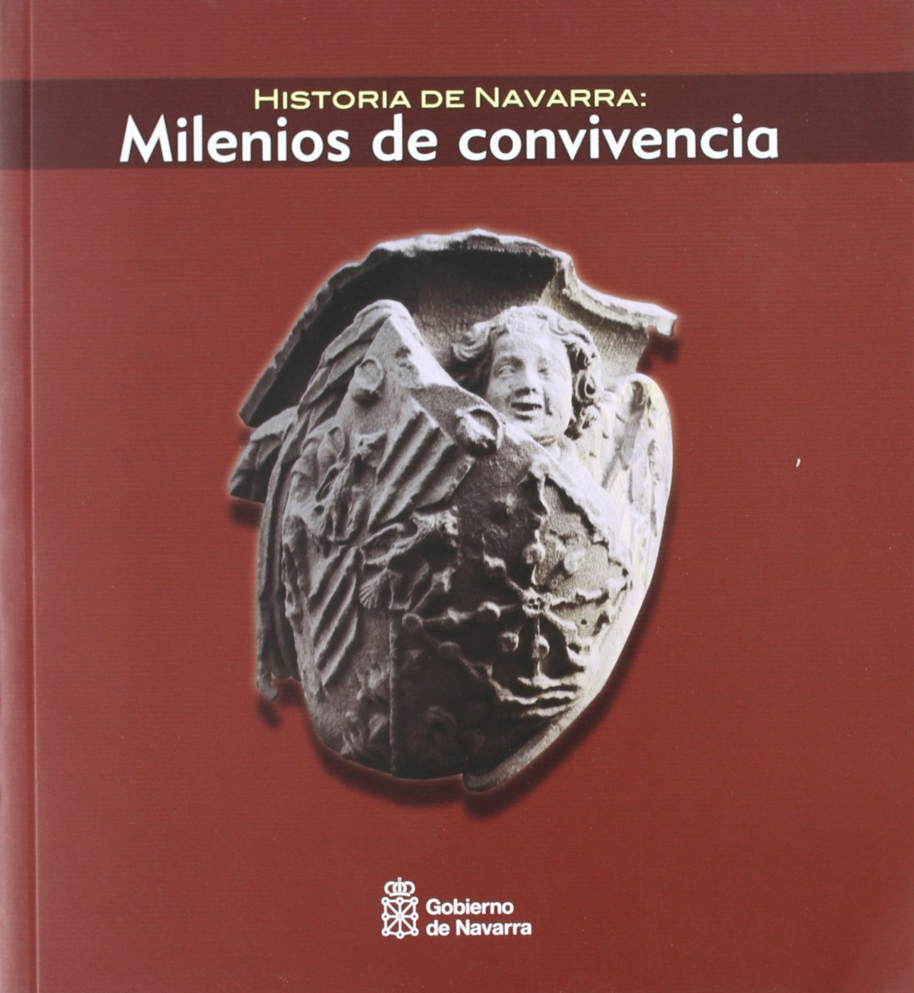 Historia de Navarra: Milenios de convivencia Books