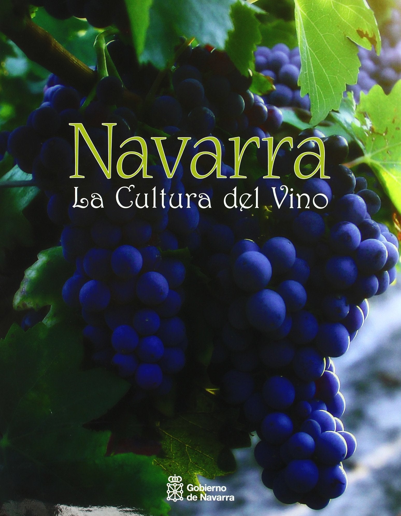 Navarra, la cultura del vino book