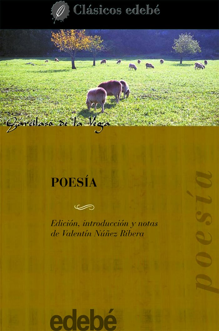 Poesia / Poetry book