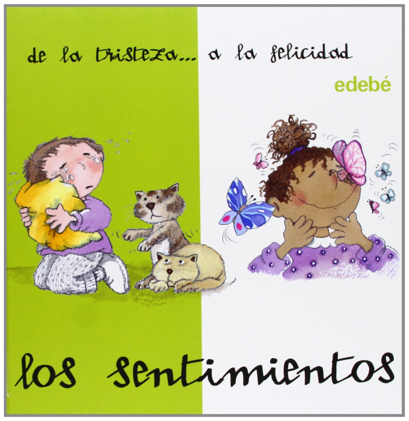 Sentimientos de la tristeza a la felicidad (DESDE... HASTA...) Contemporary literature