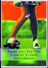 Erase una vez una casa en Llamas book