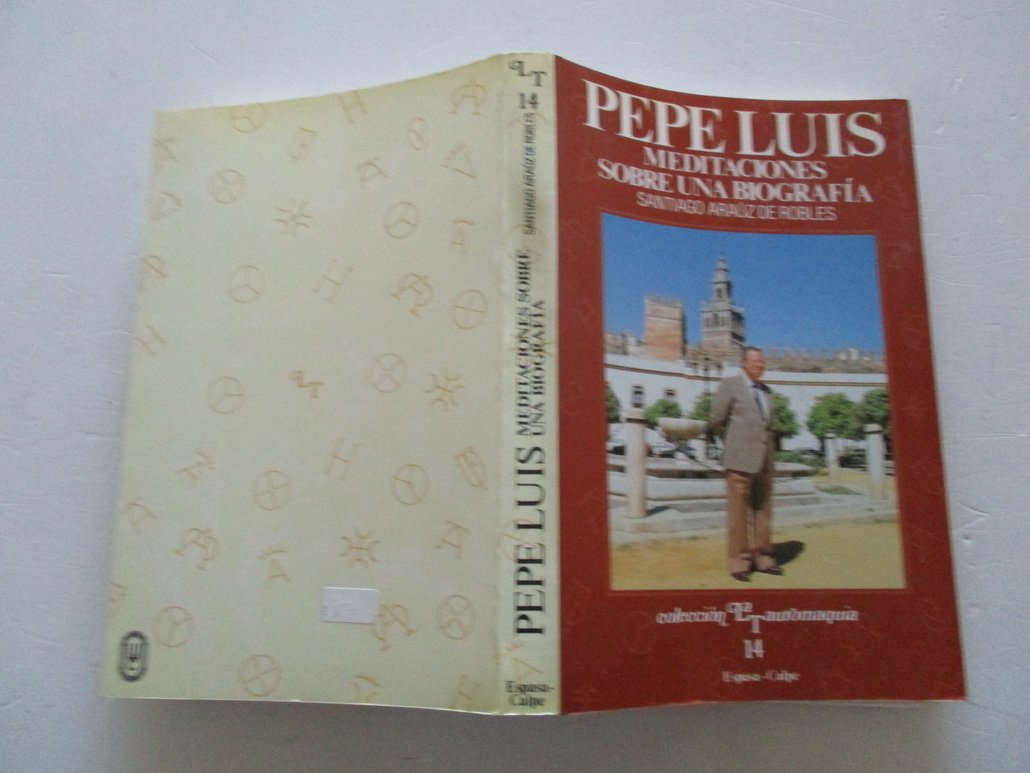 Pepe Luis: meditaciones sobre una biografía Books