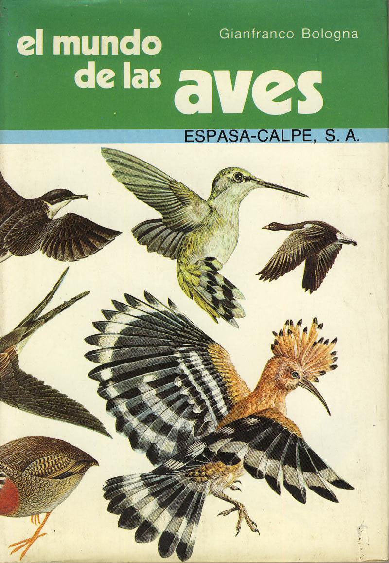 El Mundo De Las Aves/the World of Birds Business & Technology