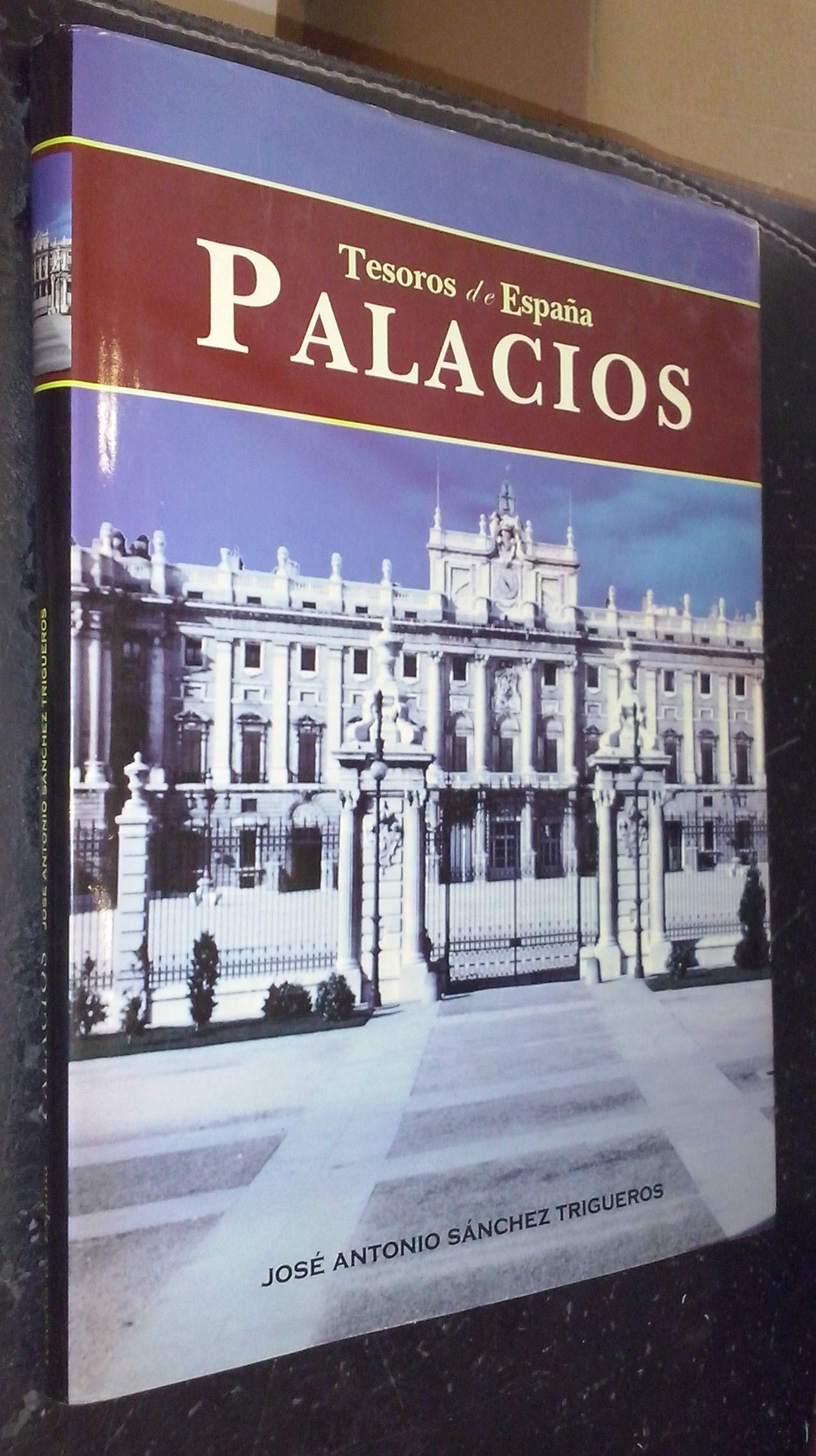 Palacios de España Books