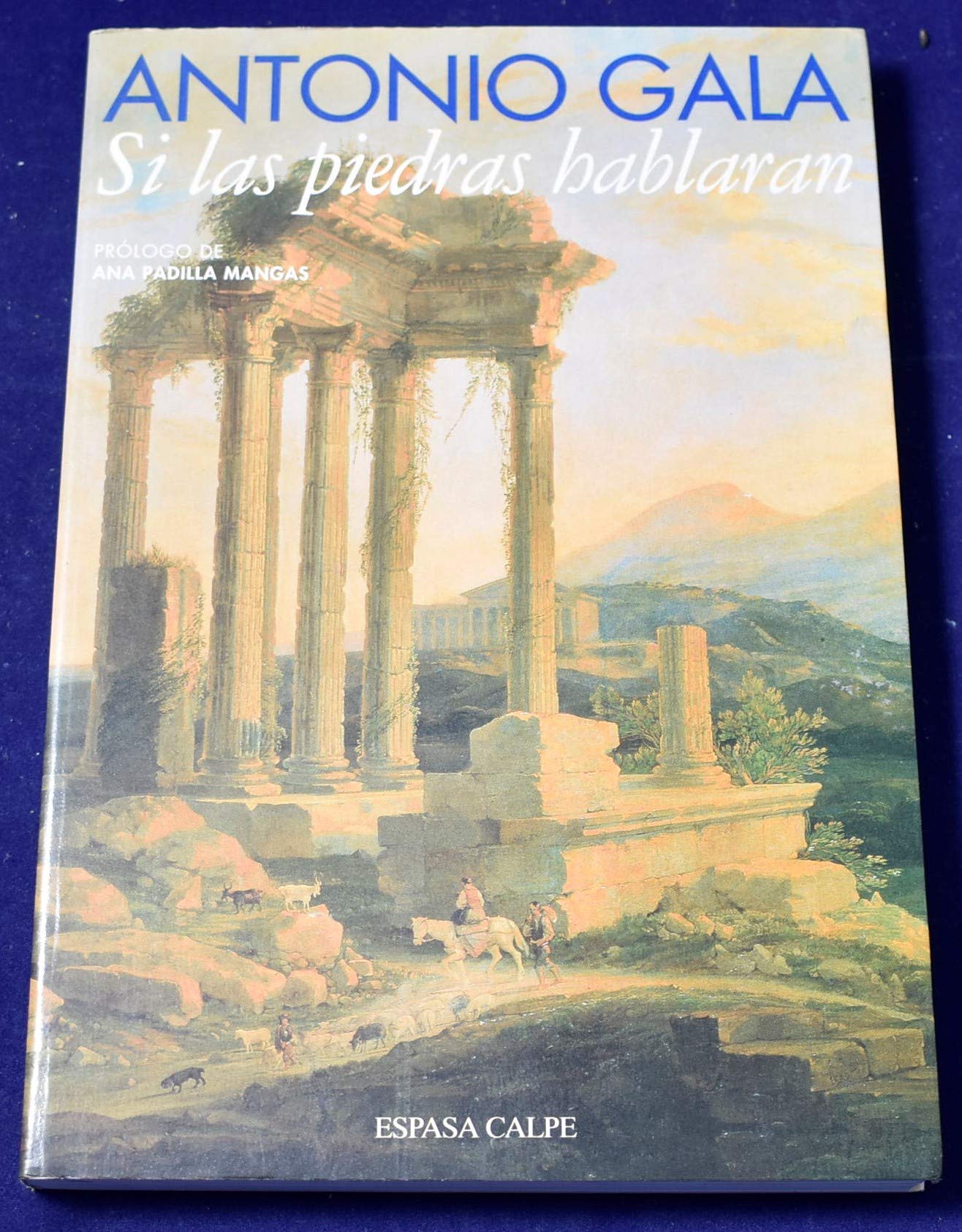 Si las piedras hablaran Books