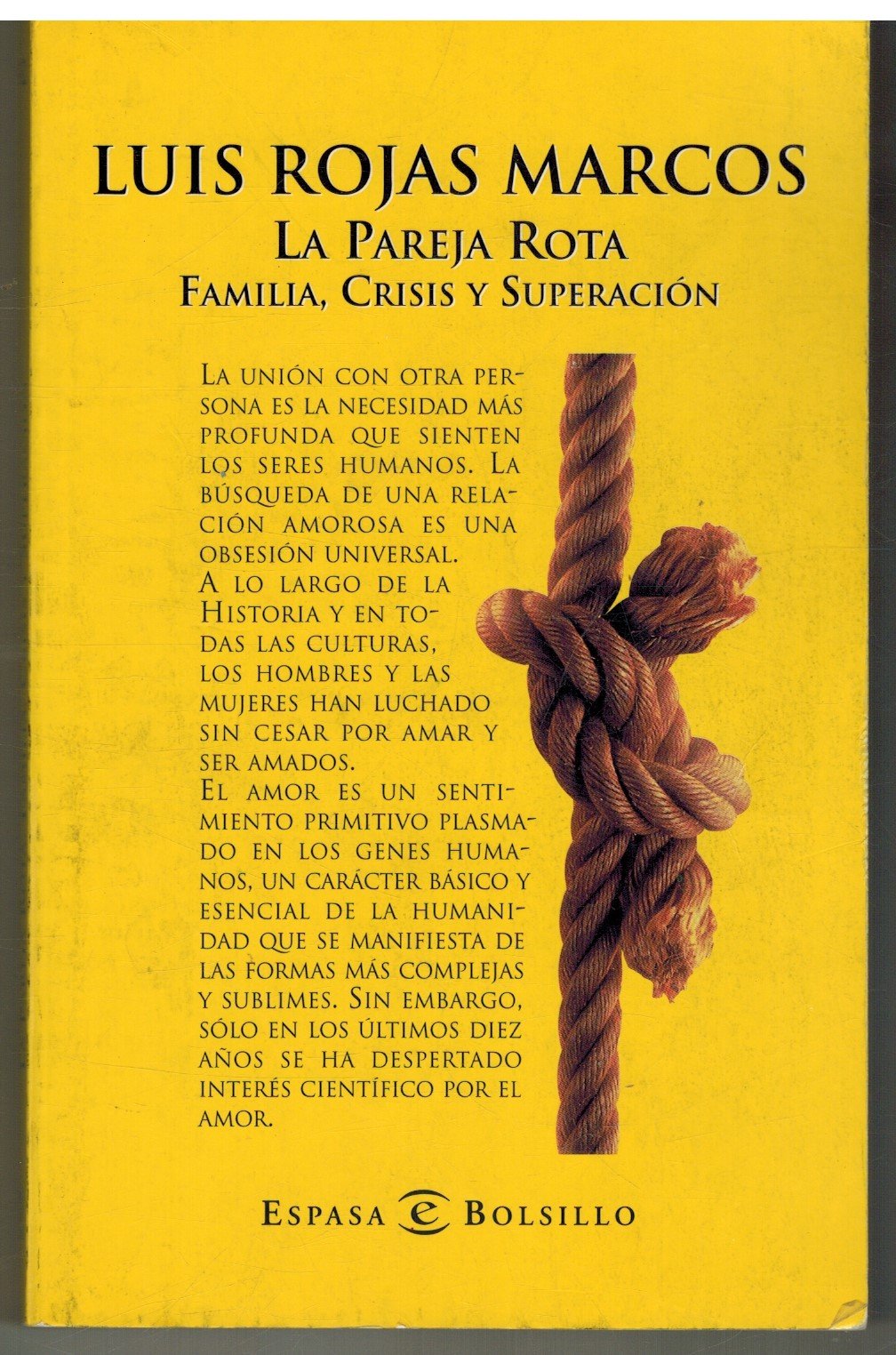 La pareja Rota (familia, crisis y superacion) book