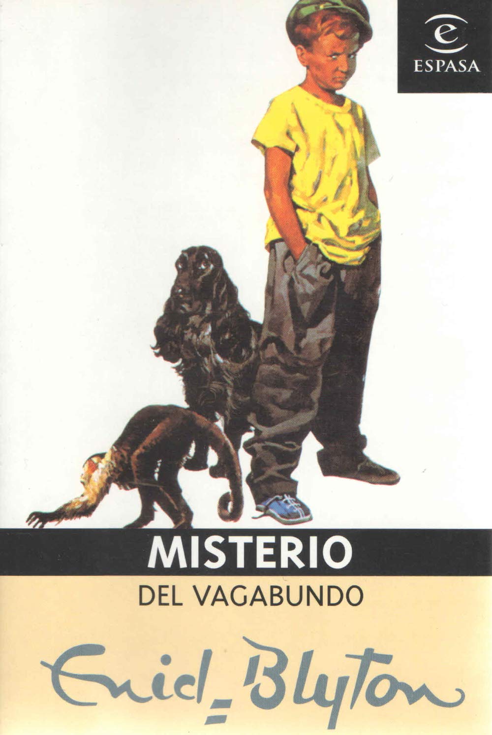 MISTERIO DEL VAGABUNDO 21 book