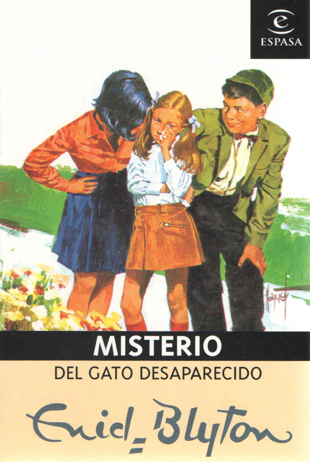 MISTERIO DEL GATO DESAPARECIDO book