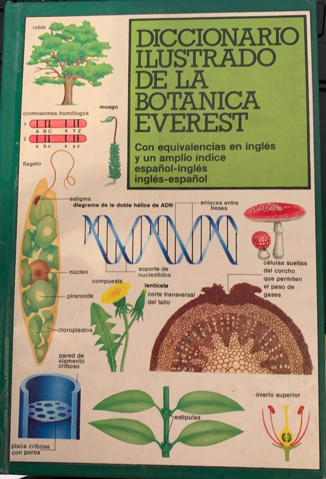 Diccionario ilustrado de la botánica Everest: Con equivalencias en inglés y un amplio índice español-inglés, inglés-español. book
