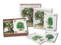 La magia de los Árboles. 52 mensajes mágicos para la inspiración, la protección y la predicción book