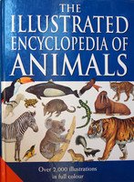 Enciclopedia ilustrada de los Animales. Tomo I: Mamíferos: 2000 especies de vertebrados ilustradas a todo color. Books