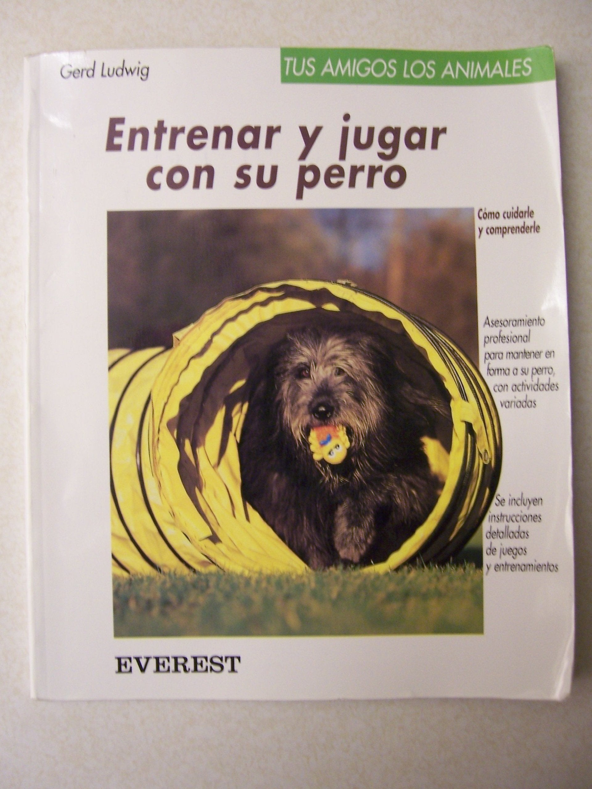 Entrenar Y Jugar Con Su Perro/Training and Playing With Your Dog: Asesoramiento Profesional Para Mantener En Forma Al Perro Con Actividades Variadas book