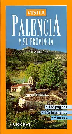 Visita Palencia y su Provincia book