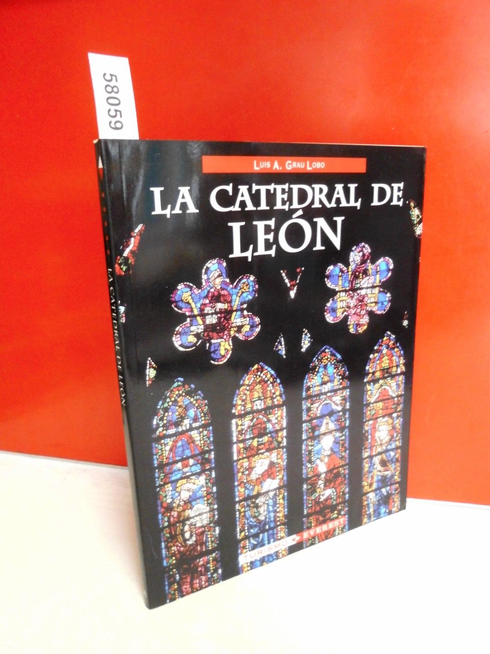 La Catedral de León y sus vidrieras (Ibérica) Books