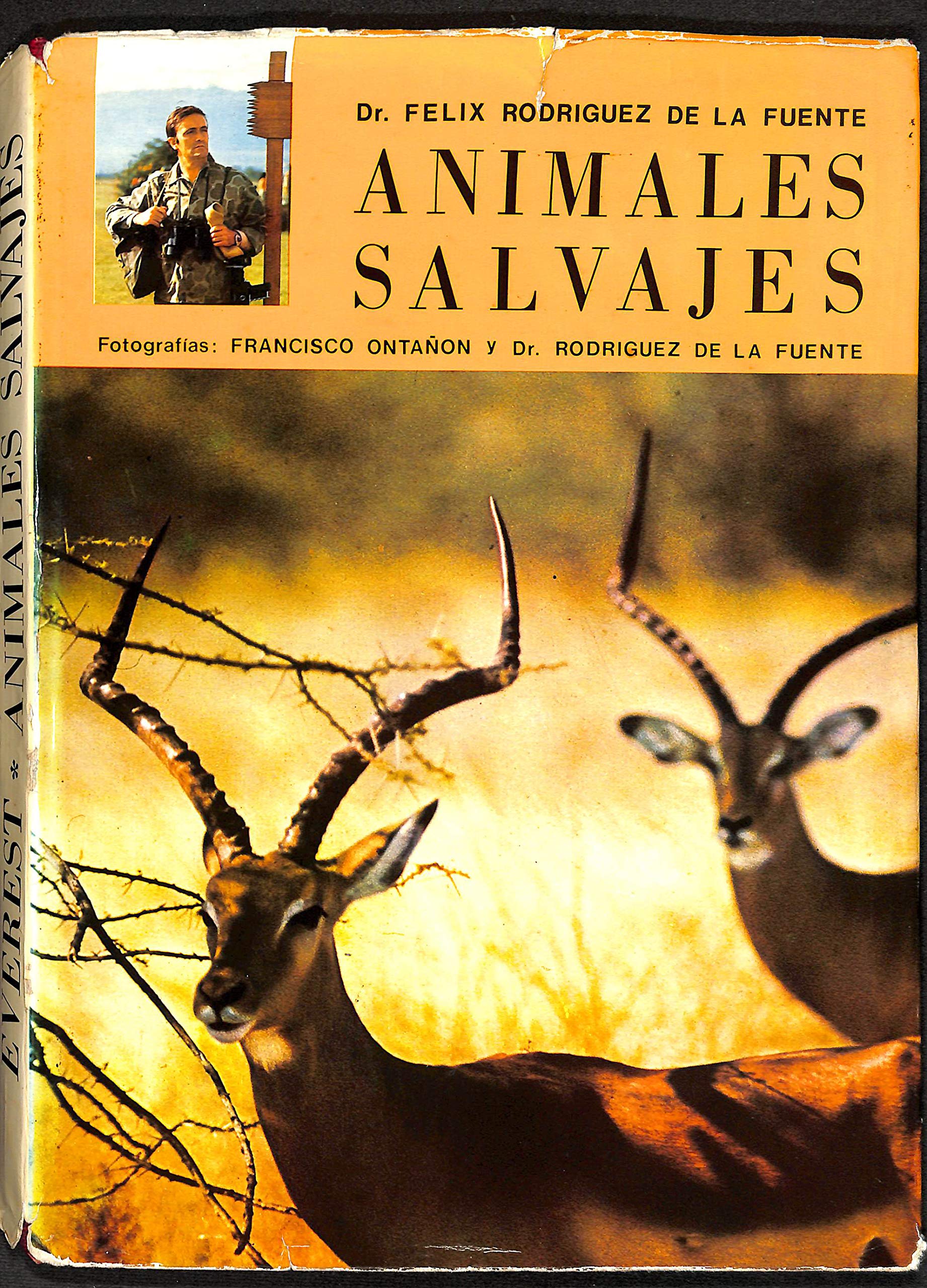 Animales salvajes: De África Oriental book