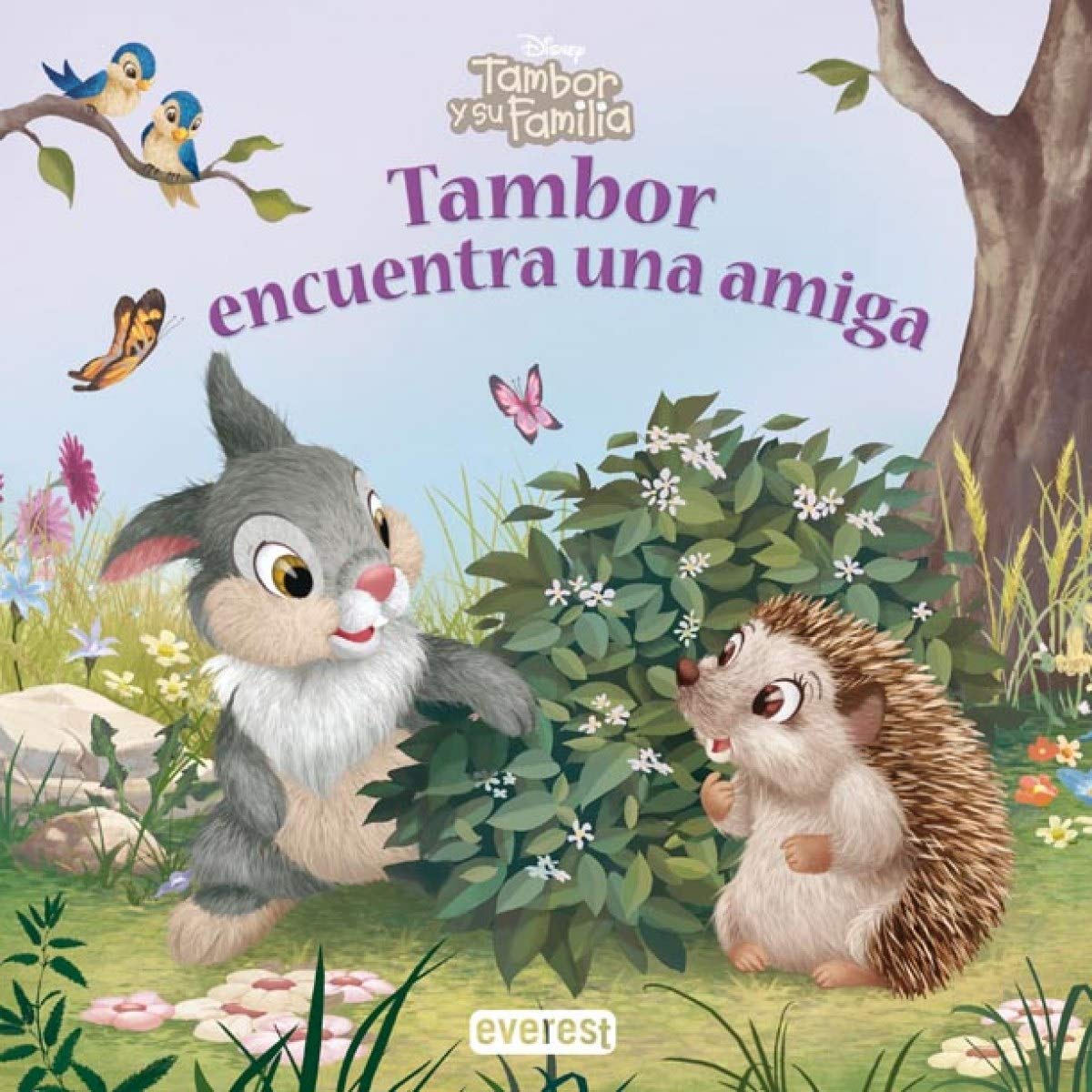 Tambor y su familia. Tambor encuentra una amiga (Tambor y su familia / Álbumes ilustrados) Books