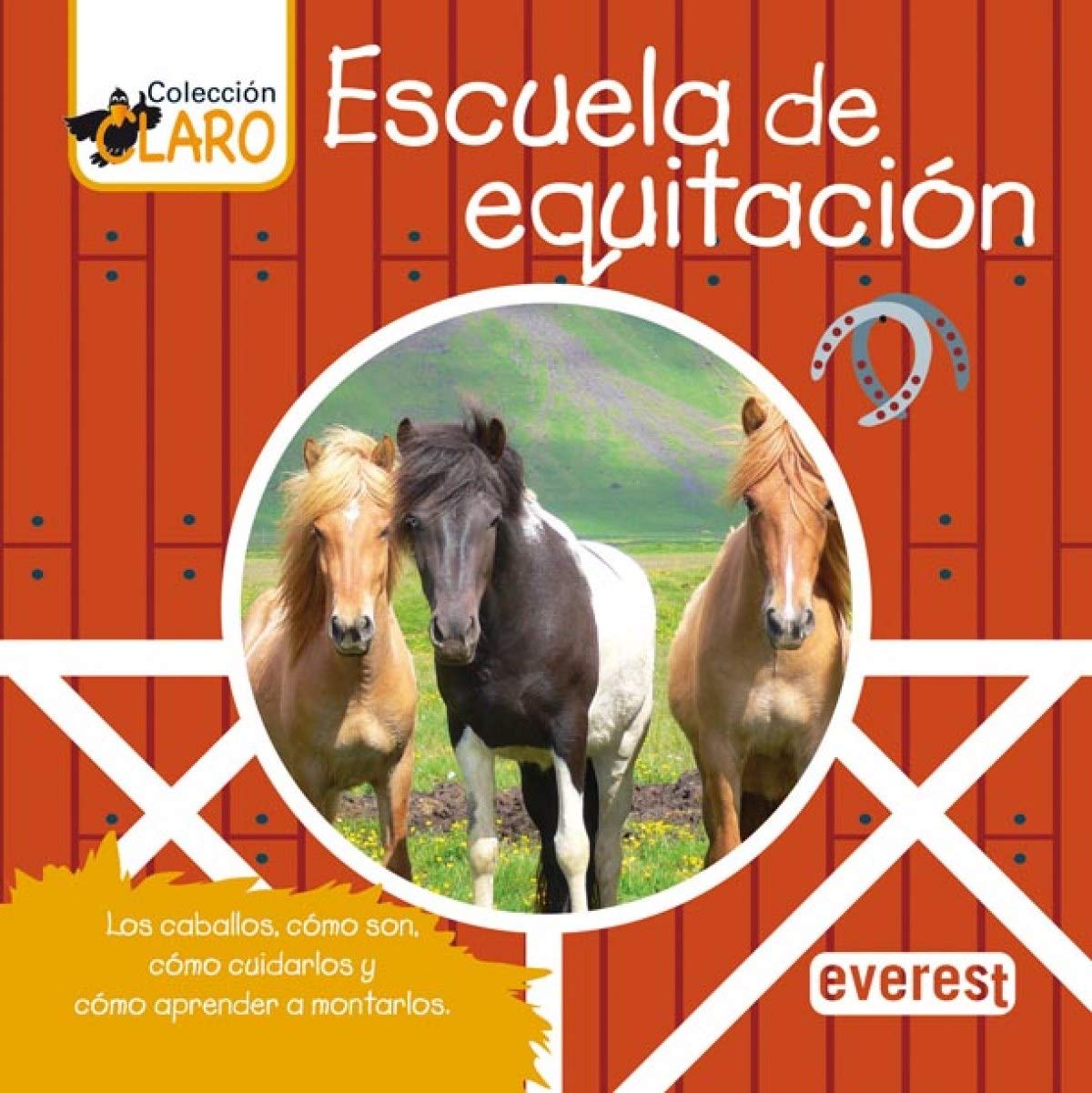 Escuela de equitación: Los caballos, cómo son, cómo cuidarlos y cómo aprender a montarlos (Colección ¡Claro!) Books
