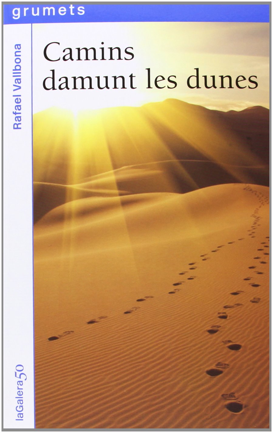 Camins damunt les dunes book