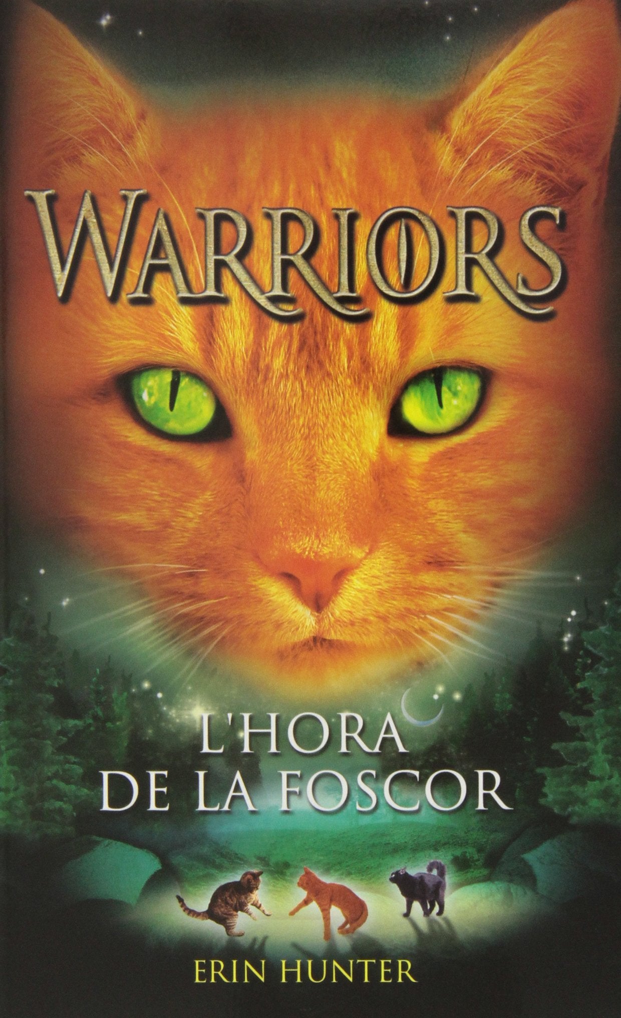 L'hora de la foscor (Warriors, Band 6) Social Sciences