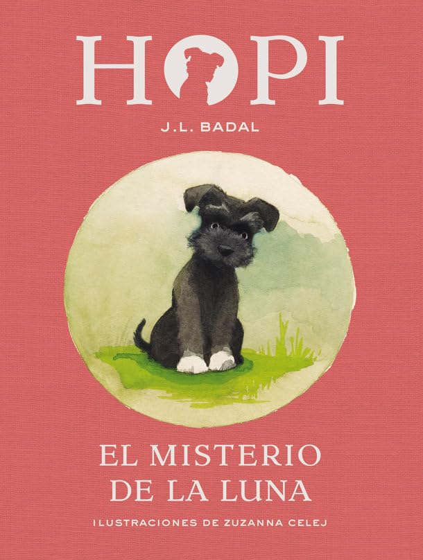 El misterio de la luna/ The Moon Mystery book