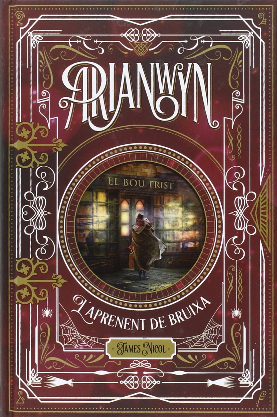 Arianwyn 1. L'aprenent de bruixa book