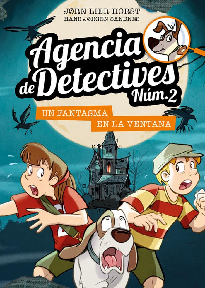 Un fantasma en la ventana / A Ghost in the Window book