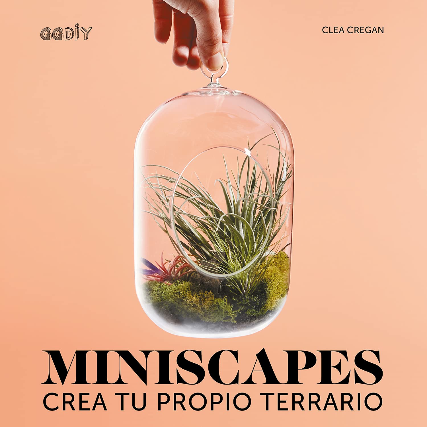 Miniscapes Crea tu propio terrario (GGDIY) Film, Art & Culture