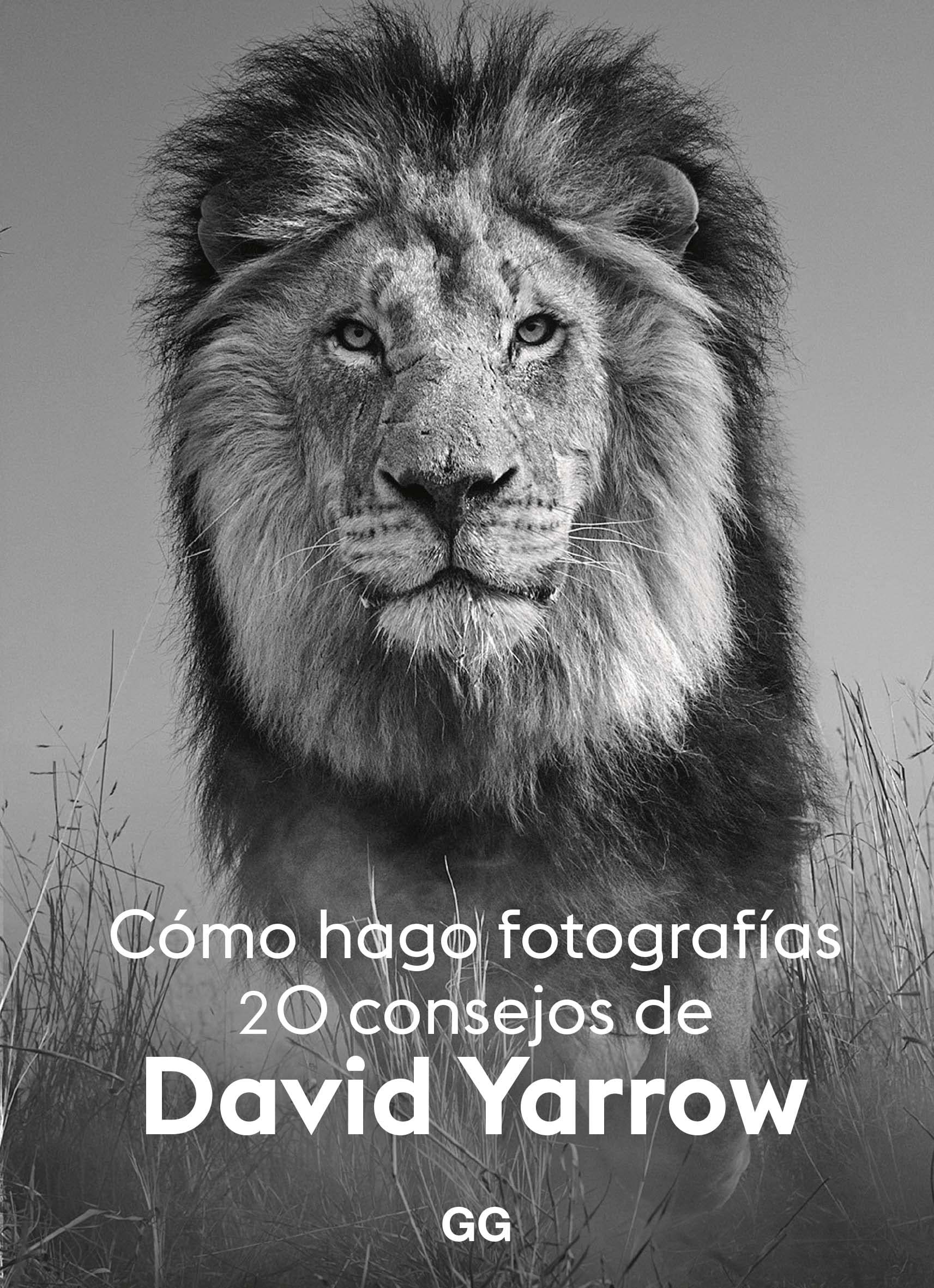 Cómo hago fotografías: 20 consejos de David Yarrow Photography