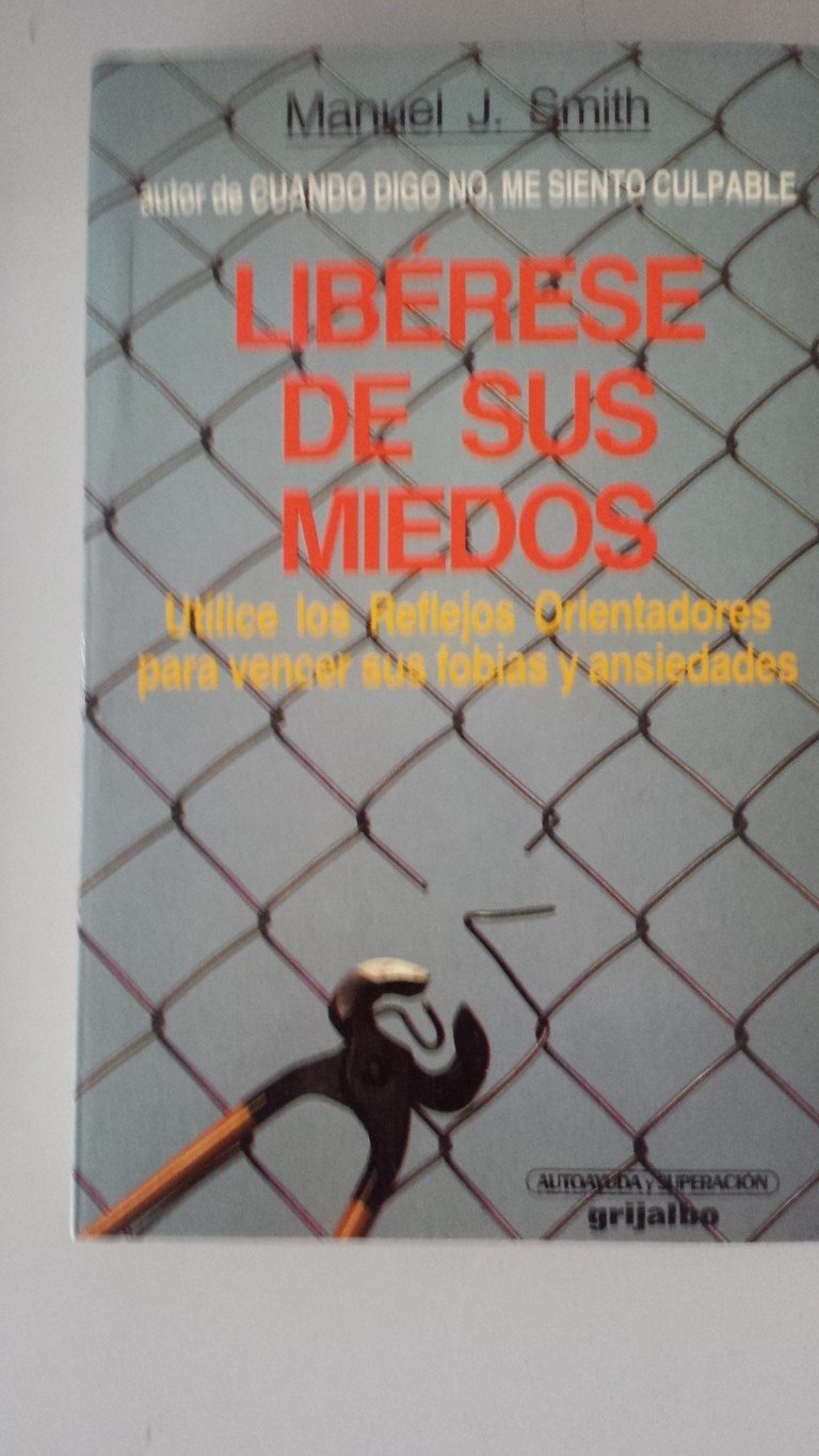 Liberese De Sus Miedos/Kicking the Fear Habit book