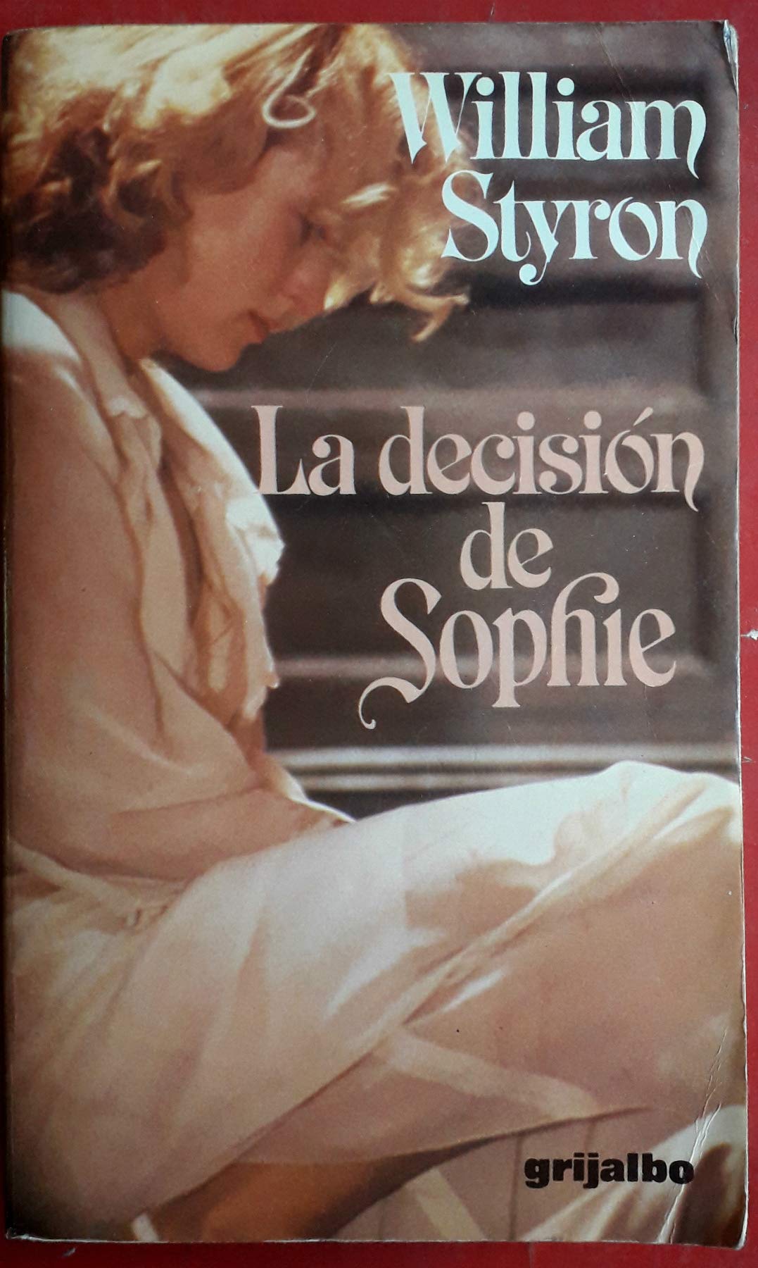LA Decision De Sophie/Sophie's Choice Contemporary literature