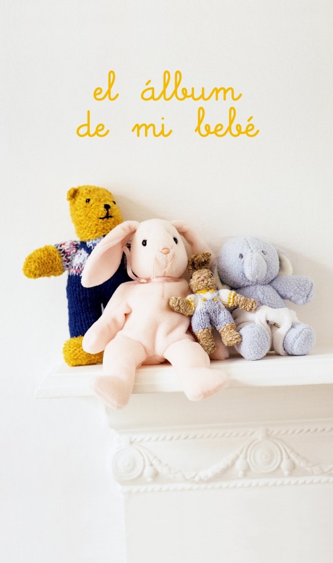 El album de mi bebe / The Album of my Baby book