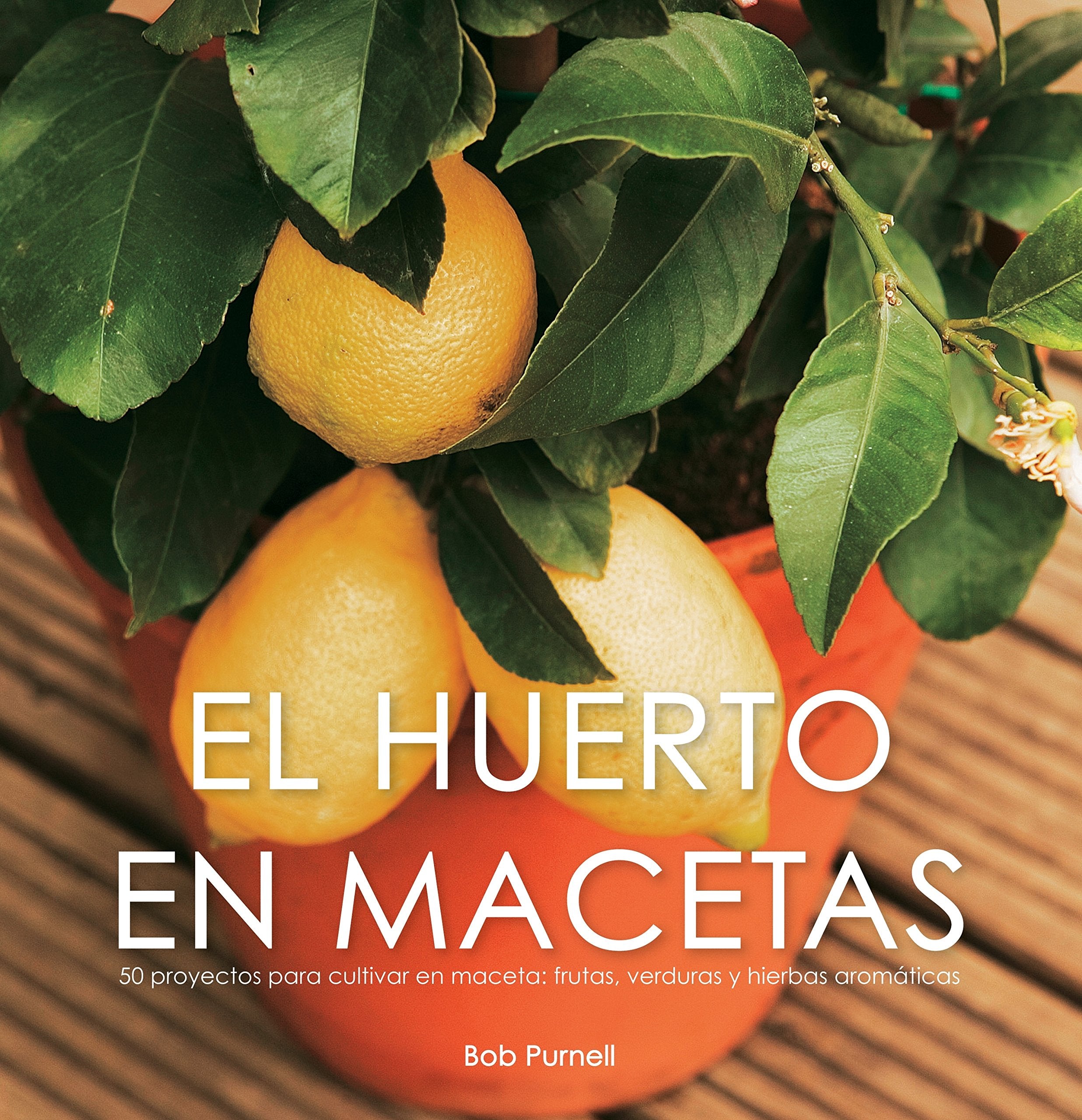 El huerto en macetas Hobbies & Crafts