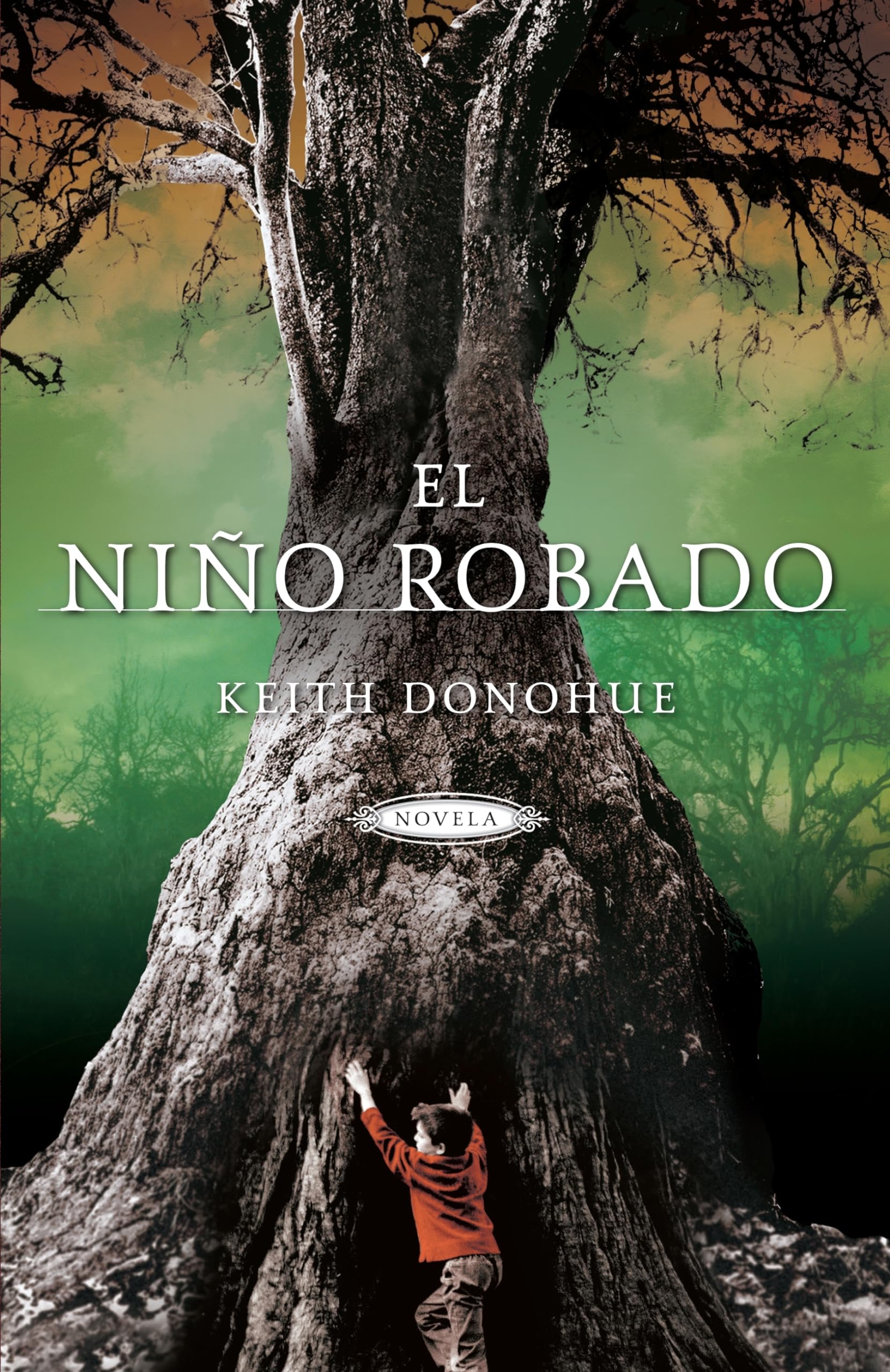 El nino robado/ The Stolen Child book